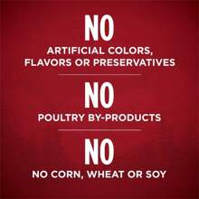 Purina ONE Smart Blend Wet Dog Food - 13oz - 1 - View 6