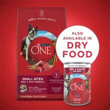 ONE Smart Lend With Real Eef And Arley Adult Wet Dog Food Can - 13oz 744093