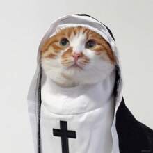 1 pieza Disfraz de monja para mascotas como decoración para fiestas, disfraz gracioso apto para fotografías, disfraz lindo para gatos o perros pequeños y medianos