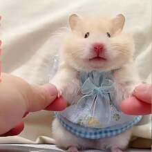 Vestido para hámster, ropa para hámster, ropa de muñeco de peluche de hámster