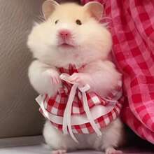 Vestido para hámster, ropa para hámster, ropa de muñeco de peluche de hámster
