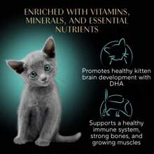 Portions Salmon, Chicken And Seafood Flavor Soft Pate Kitten Wet Food - 31.7oz/12ct - 1 - View 10