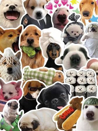50pcs Funny Dog Meme Stickers PVC Gift Cartoon Decoration Scrapbook Laptop Luggage Guitar Water Cup Phone Case DIY Decal,School Supplies,Back To School