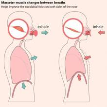 Trener mięśni twarzy, urządzenie do masażu twarzy, do ćwiczeń mięśni żwaczy, podwójnego podbródka, liftingu twarzy, ujędrniania skóry, redukcji zmarszczek i obwisania Akcesoria do siłowni, sport, siłownia, ćwiczenia w domu, akcesoria sportowe, akcesoria do siłowni, akcesoria do CrossFit