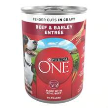 ONE Smart Lend With Real Eef And Arley Adult Wet Dog Food Can - 13oz 744093