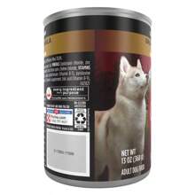Purina ONE Smart Blend Wet Dog Food - 13oz - 1 - View 4