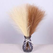 45cm Artificial Pampas Grass, Realistic Rattan, Nordic Ins Decor Gifts Birthday Graduation