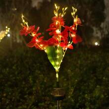 1 件太阳能蝴蝶兰精致花园装饰灯太阳能通道灯情侣礼物草坪灯适用于户外庭院花园草坪围栏车道装饰，无遥控器，塑料灯罩，太阳能节日草坪装饰