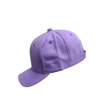 Unisex Men's And Women's Sports Cap With Microperforations Casual Cotton Embroidery Anti-UV Windproof Sports Spring Adjustable Breathable - 薰衣草 - 查看 1