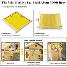 Starter Kit Cedar Bee Box Self-Flowing Honey Design Flow Beehive Bee Hive Boxes Painted White Beehive Mini Bee House - 1 - View 10