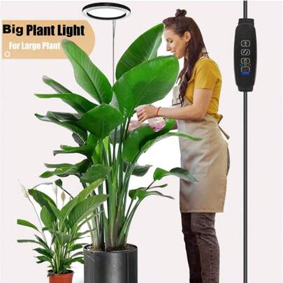植物生长灯，全光谱LED室内植物灯，高度可调，带自动开关定时器（3小时/9小时/12小时），4档亮度可调，非常适合小型植物。