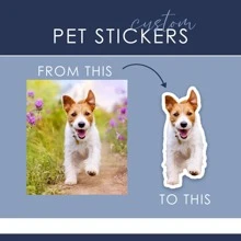 1/5/10/20张定制图片贴纸 | 个性化照片贴纸 | 宠物爱好者礼物 | 纪念贴纸 | 定制贴纸 | 结婚礼物 | 模切贴纸、笔记本电脑贴纸、水杯贴纸、汽车贴纸、定制贴纸、用品、温馨氛围、家居生活、定制贴纸、多功能、装饰性、可重复使用、精致、时尚、高品质、色彩缤纷、现代、定制、个性化、独特、送给他的理想礼物、送给她的理想礼物、男友、爸爸、女友、妈妈、家人、朋友、茶室、家居、花园、办公室、周年纪念日、情人节、母亲节、生日、父亲节、毕业典礼、婚礼、乔迁之喜、剪贴簿和印章供应商 - 彩色 - 查看 3