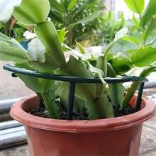 1 set de 8 piezas/4 pares, Anillos de soporte para plantas de 25 cm (9.84 pulgadas) de plástico, aptos para invernadero y jardín, varillas semicirculares fijas para flores de interior y plantas trepadoras, herramientas de bonsái ajustables y flexibles, fácil de ajustar la altura