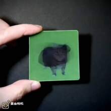 Tarjeta de regalo de broma con diseño abstracto de gato en cuadrícula, gran alivio del estrés para amigos y novias, se puede usar como llavero, colgante pequeño o marcador de libros - Multicolor - Ver 3