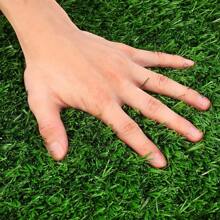 New MEEXPAWS Large Dog Toilet Made Of Artificial Grass Tray (85*59 Cm) \U2013 Dog Toilet For Apartment & Balcony \U2013 2 Grass Replacement Sets & 2 Pee Pads \U2013 Drainage \U2013 Potty Training For Home & Indoors - 綠色L 85 x 59 厘米 - 查看 7