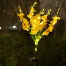 1 件太阳能蝴蝶兰精致花园装饰灯太阳能通道灯情侣礼物草坪灯适用于户外庭院花园草坪围栏车道装饰，无遥控器，塑料灯罩，太阳能节日草坪装饰