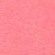 Rosa coral