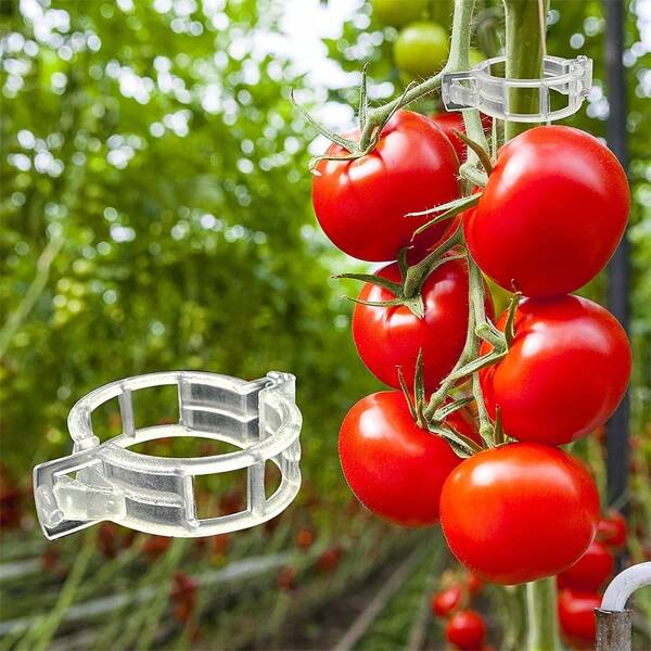 100pcs/300pcs Tomato Clips, Plastic Trellis Clips, Plant Support Clips, Grape Vine Clips, Tomato Vines, Vegetable Plant Clips, Garden Clips, Seedling Fixing Clips, Make Plants Grow Upright And Healthier