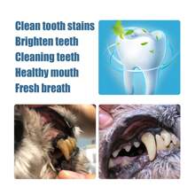 Pet Tooth Beauty Pen Dog Cat Cat Dog Pet Tooth Cleaning Pen Tartar Stone Cleaning Tool