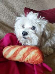 1pc Squeaky Simulation Long Bread Plush Dog Lover And Dog Mom Love Toy Crumb Texture Design, Soft And Chewable Material, Cat/Dog Lover Gift And Dog/Cat Mom Love Pet Chewing Sound Toy, Cat/Dog Lover Gift And Dog/Cat Mom Love Pet Dog Lover And Dog Mom Love Teeth Grinding And Cleaning Teeth, Chewing Interactive Dog Lover And Dog Mom Love Toy To Relieve Boredom Moments, Small And Medium Dog Lover And Dog Mom Love Training And Entertainment Toy