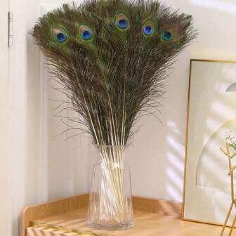 1 件家居装饰用品，25-130 厘米孔雀羽毛，大眼睛，羽毛，花瓶，花耳环，孔雀羽毛扇子配件