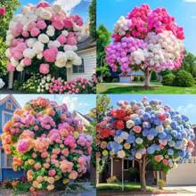 166 piezas semillas hortensias variadas flores coloridas adecuadas para decoración hortícola jardinería exterior hogar macetas paisajismo alta germinación resistentes perennes ornamentales variedad colección premium - 166 - Ver 4