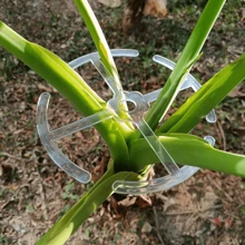 4 piezas de abrazaderas para tallos de plantas, herramientas de jardinería de plástico, soportes de plantas de plástico para plantas trepadoras de interior que se pueden reutilizar