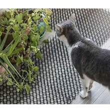 20x40cm Anti-Katzen Stachelmatten, zuschneidbar & verbindbar für Garten, Rasenfläche, Balkon, Sofa