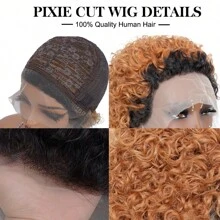Pixie Cut Curly Human Hair Wigs Ginger 350 Short Curly Lace Front Human Hair Wigs For Women 6 Inch 13x1 Transparent Lace Frontal Wigs Water Wave Dark Rooted To Ginger Orange Color - 1B/30 - 查看 5