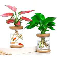 Conjunto de macetas hidroponicas con forma asimétrica, contenedor aeroponico con tapa transparente y sistema de riego para jardinería interior