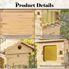 Starter Kit Cedar Bee Box Self-Flowing Honey Design Flow Beehive Bee Hive Boxes Painted White Beehive Mini Bee House - 1 - View 7