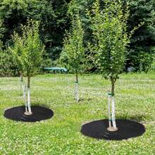 Tree Protection Mats, Mulch Ring Round Control Cloth, Barrier, Plant Cover For Indoor And Outdoor Gardens, New, 1Pc - Black - View 2