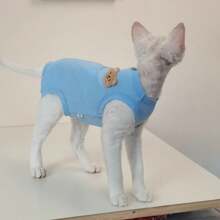 轻薄夏季泰迪熊刺绣背心，无毛斯芬克斯猫透气休闲T恤 - 橘色 - 查看 5