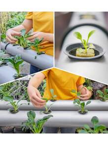 50/10pcs Hydroponics Net Pots,Hydroponic Planting Basket Soilless Cultivation,Round Heavy Duty Net Cups Pots,Slotted Mesh Cups For Plant Growth Systems