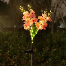 1 件太阳能蝴蝶兰精致花园装饰灯太阳能通道灯情侣礼物草坪灯适用于户外庭院花园草坪围栏车道装饰，无遥控器，塑料灯罩，太阳能节日草坪装饰