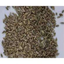 Cherry Radish Seeds Fruit Radish Seeds, Four Seasons Vegetable Seeds, Sun Platform Pot Planting, Water Radish Seeds