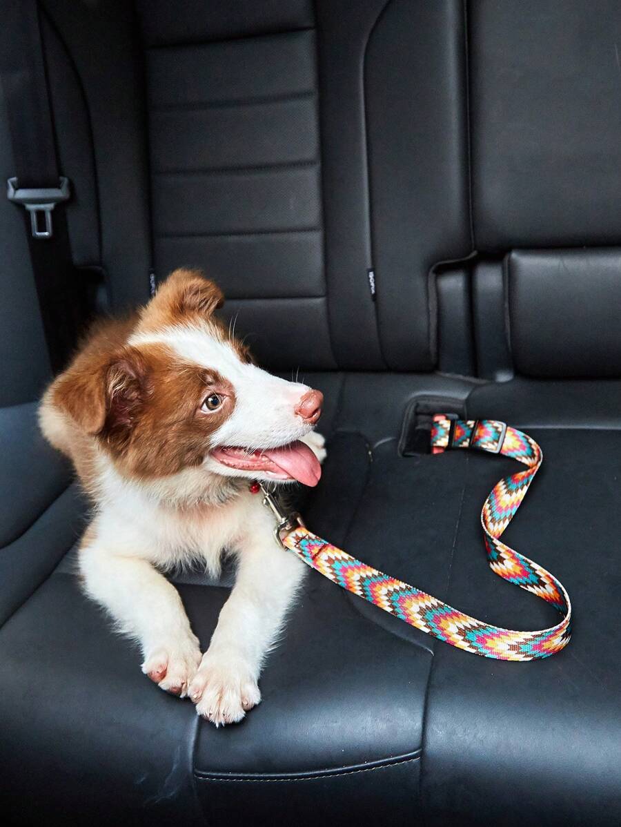 1 pieza Correa de para mascotas en el automóvil con estampado colorido, correa de para gatos/perros en el vehículo, suministros para mascotas al aire libre - Multicolor - Ver 1