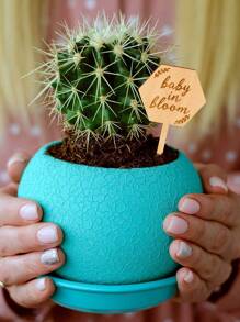 10 buc. Etichete botanice Baby In Bloom Cadouri pentru baby shower, cadouri cu etichetă pentru țeapă botanică hexagonală Marker pentru suculente cu țăruș de grădină, pentru ziua mamei, pentru Crăciun pentru Ziua Recunoștinței. - Culoarea lemnului - Vizualizare 6