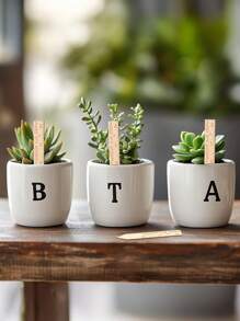 30/50 stuks houten plantenlabels voor het registreren van de identificatie van de groei van vetplanten, houten labels voor binnen- en buitenplanten, herbruikbare gegraveerde tuinlabelstokken