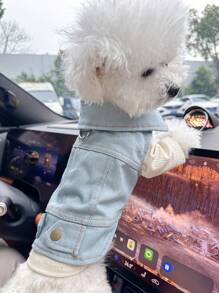 1 件宠物服装，经典纯色小型犬和幼犬服装，时尚可爱的小型犬春夏服装 - 藍色 - 查看 3