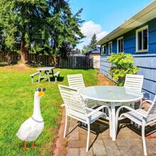 2pcs Chain Collar And Sunglasses Porch Goose Outfits For Plastic Goose 23"/ 17'' Lawn Goose Statue Sunglasses Gold Rhinestone Collar For Garden Goose Retro Pet Party Patio Yard