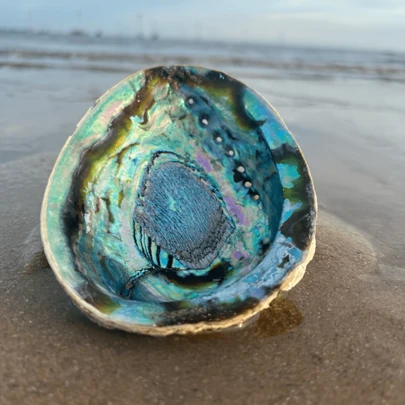 1个2.7-5.54英寸鲍鱼壳香炉，可用于燃烧鼠尾草，家居装饰，房间装饰，适用于瑜伽馆、露营、花园、露台，经典烛光晚餐道具，装饰品