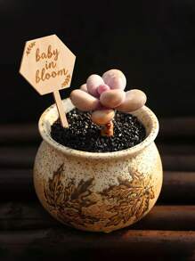 10 buc. Etichete botanice Baby In Bloom Cadouri pentru baby shower, cadouri cu etichetă pentru țeapă botanică hexagonală Marker pentru suculente cu țăruș de grădină, pentru ziua mamei, pentru Crăciun pentru Ziua Recunoștinței. - Culoarea lemnului - Vizualizare 4