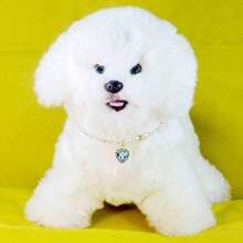 Heart Rhinestone Pendant Cultured Pearl Necklace, Decorative Accessory For Small-Medium Pets