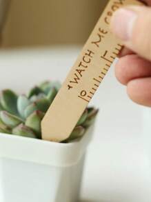 30/50 stuks houten plantenlabels voor het registreren van de identificatie van de groei van vetplanten, houten labels voor binnen- en buitenplanten, herbruikbare gegraveerde tuinlabelstokken