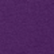 Violet Purple