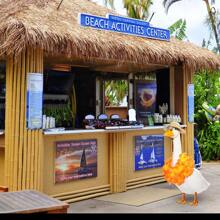 3pcs Summer Porch Goose Outfits For Plastic Goose 23/17'' Lawn Patio Statue Clothes Straw Hat And Hawaiian Lei Costume