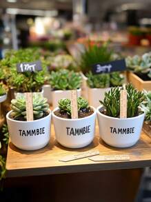 30/50 stuks houten plantenlabels voor het registreren van de identificatie van de groei van vetplanten, houten labels voor binnen- en buitenplanten, herbruikbare gegraveerde tuinlabelstokken