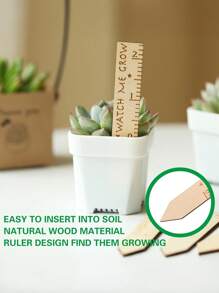 30/50 stuks houten plantenlabels voor het registreren van de identificatie van de groei van vetplanten, houten labels voor binnen- en buitenplanten, herbruikbare gegraveerde tuinlabelstokken