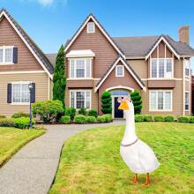 2pcs Chain Collar And Sunglasses Porch Goose Outfits For Plastic Goose 23"/ 17'' Lawn Goose Statue Sunglasses Gold Rhinestone Collar For Garden Goose Retro Pet Party Patio Yard